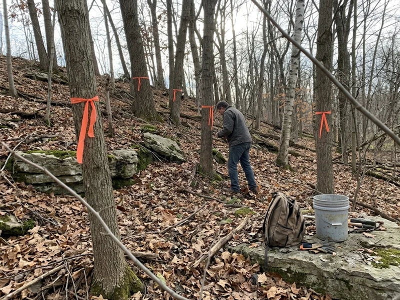 Sloped wooded lot near the escarpment with flagged trees
