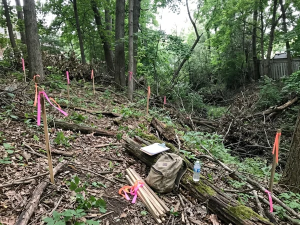 Before: empty sloped wooded lot in Tyandaga with survey stakes