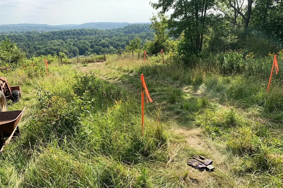 Escarpment-edge lot in Dundas with survey stakes over the Dundas Valley